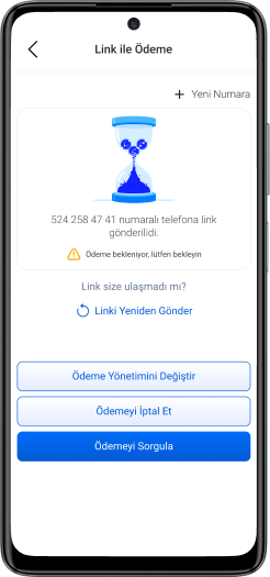 Link ile Ödeme Hizmeti